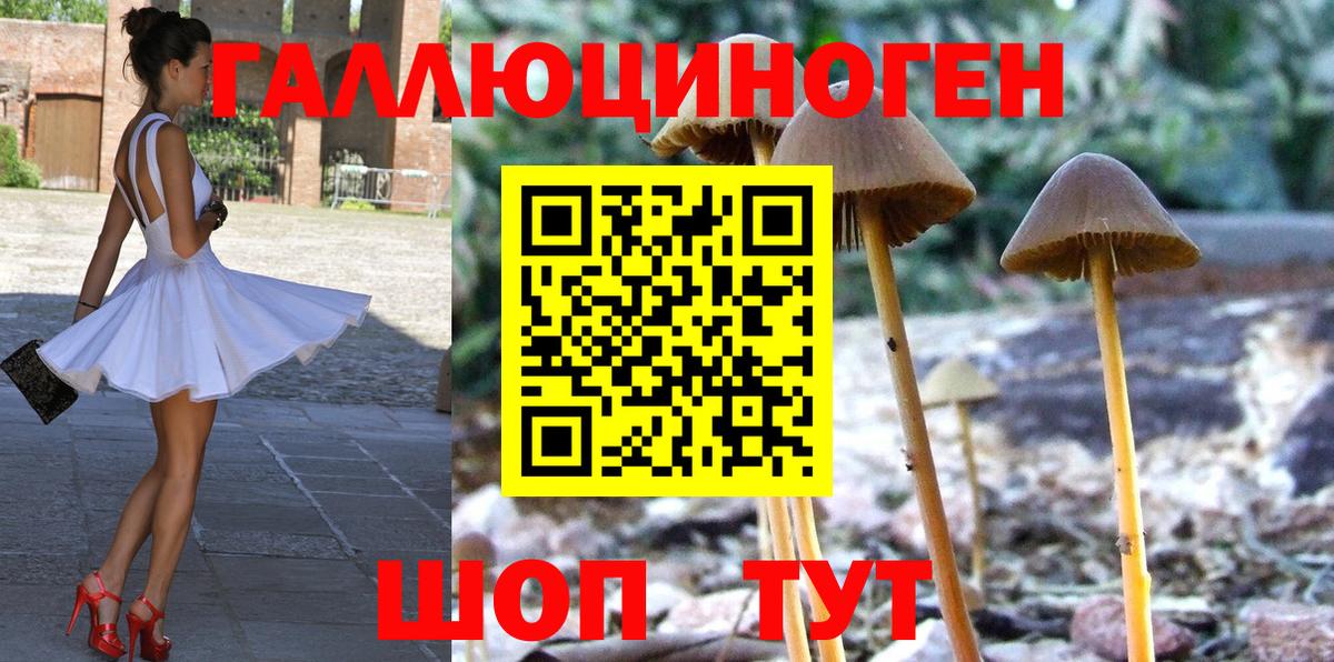 Темрюк  Псилоцибиновые грибы ЛСД  Галлюциногенные грибы Psilocybe  Вход с VPN 