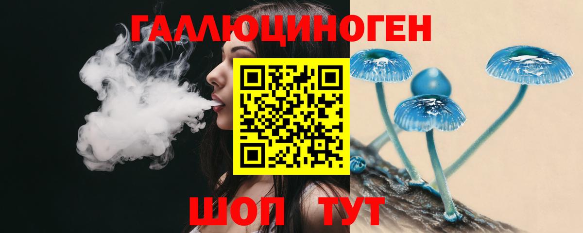 Псилоцибиновые грибы Psilocybe Темрюк